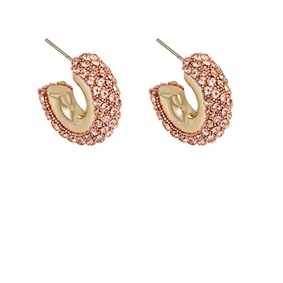 Pave Crystal Hoops - Picture 3 of 6